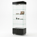 Vitrina de Vidrio 190x60x40 cm